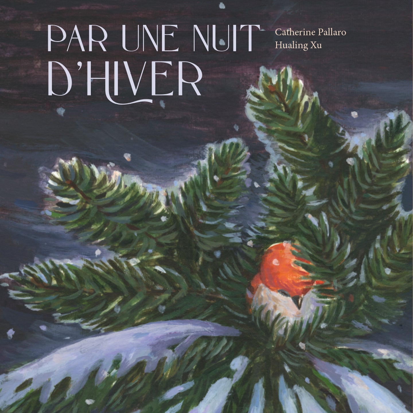 Par une nuit d'hiver